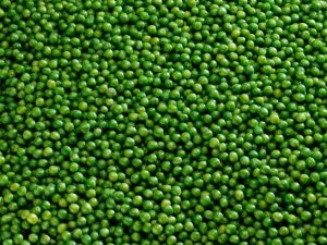 Le petit pois est-il bon pour les chats ?