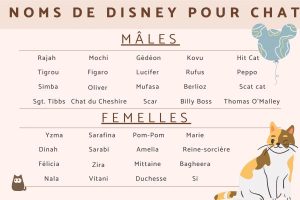 Les prénoms et noms de chats inspirés de Disney