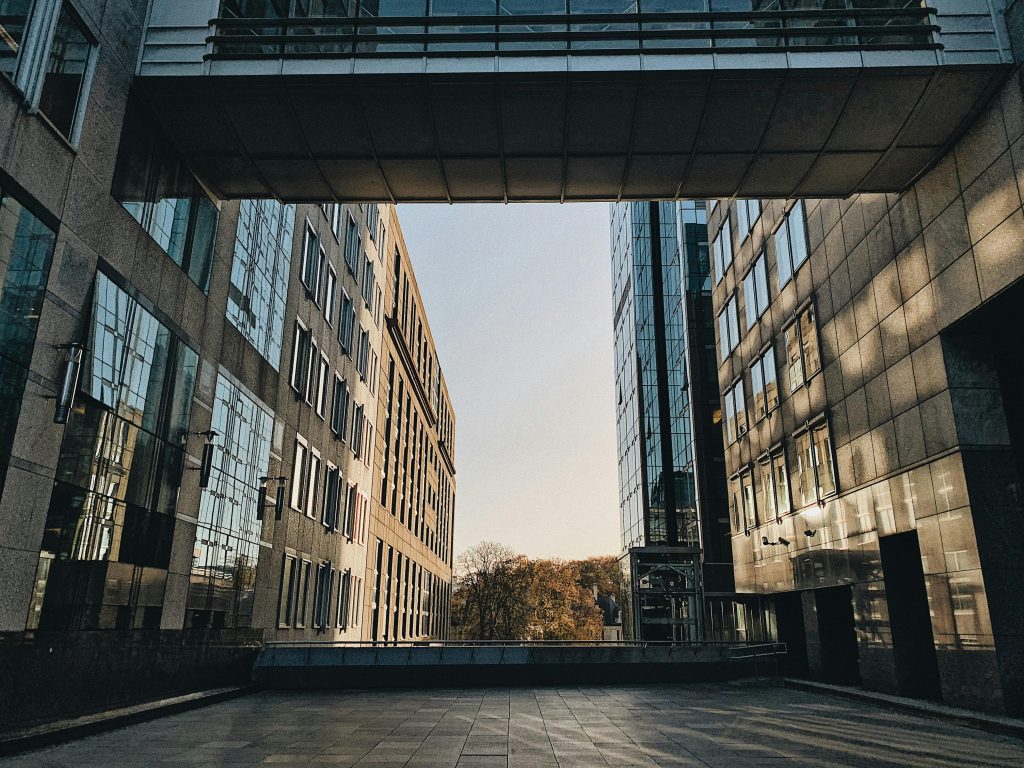 Capital en entreprise : définition, structure et principales formes