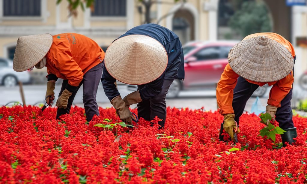 Comment débuter facilement le jardinage urbain chez soi ?